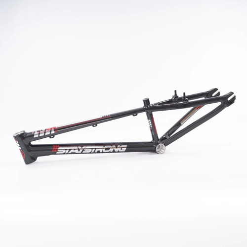 Expert 2025 bmx frame